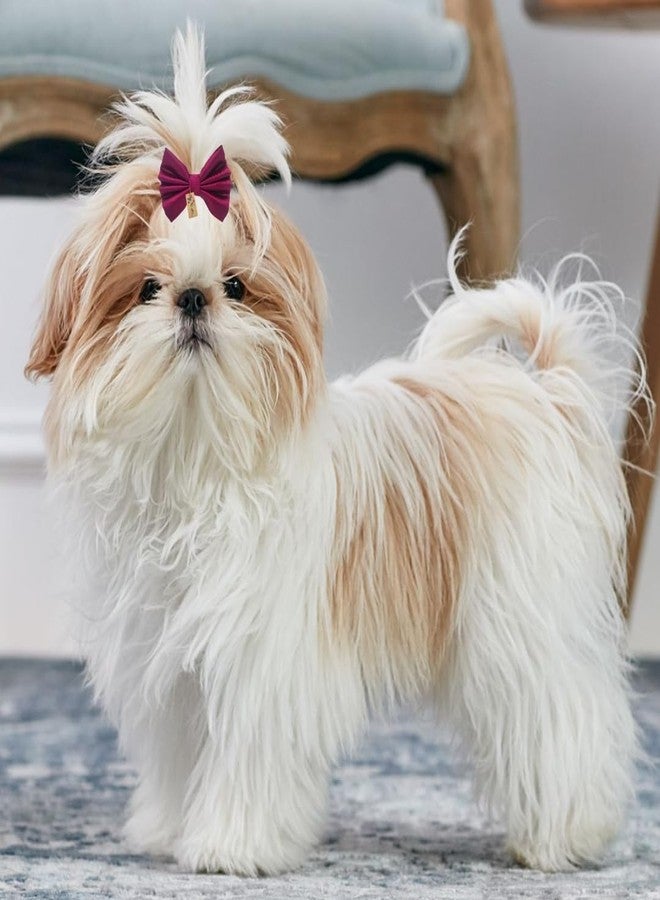 Western Era Dog Bow Hair Clip | Stylish Pet Accessory | Soft, Comfortable | Small, Medium & Large Dogs | Grooming, Photoshoots, Parties Fashionable & Durable Design for Pets (Wine) - Image 2